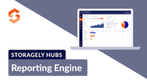 Reporting Engine Graphic Storagely Hubs